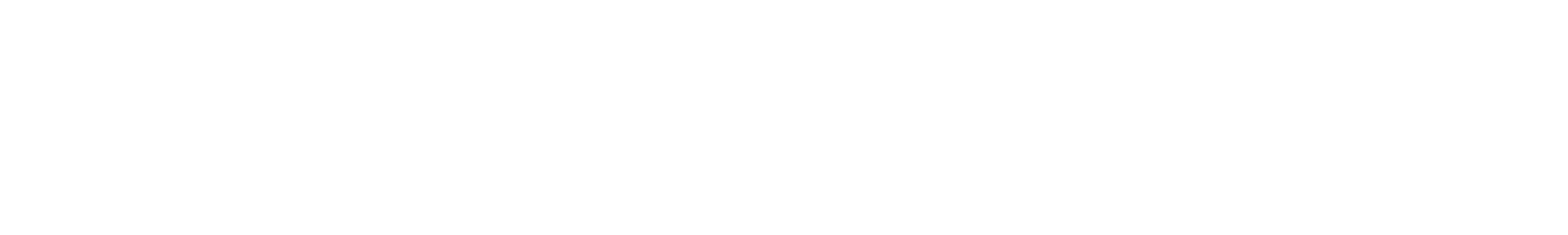 premiumstore Logo