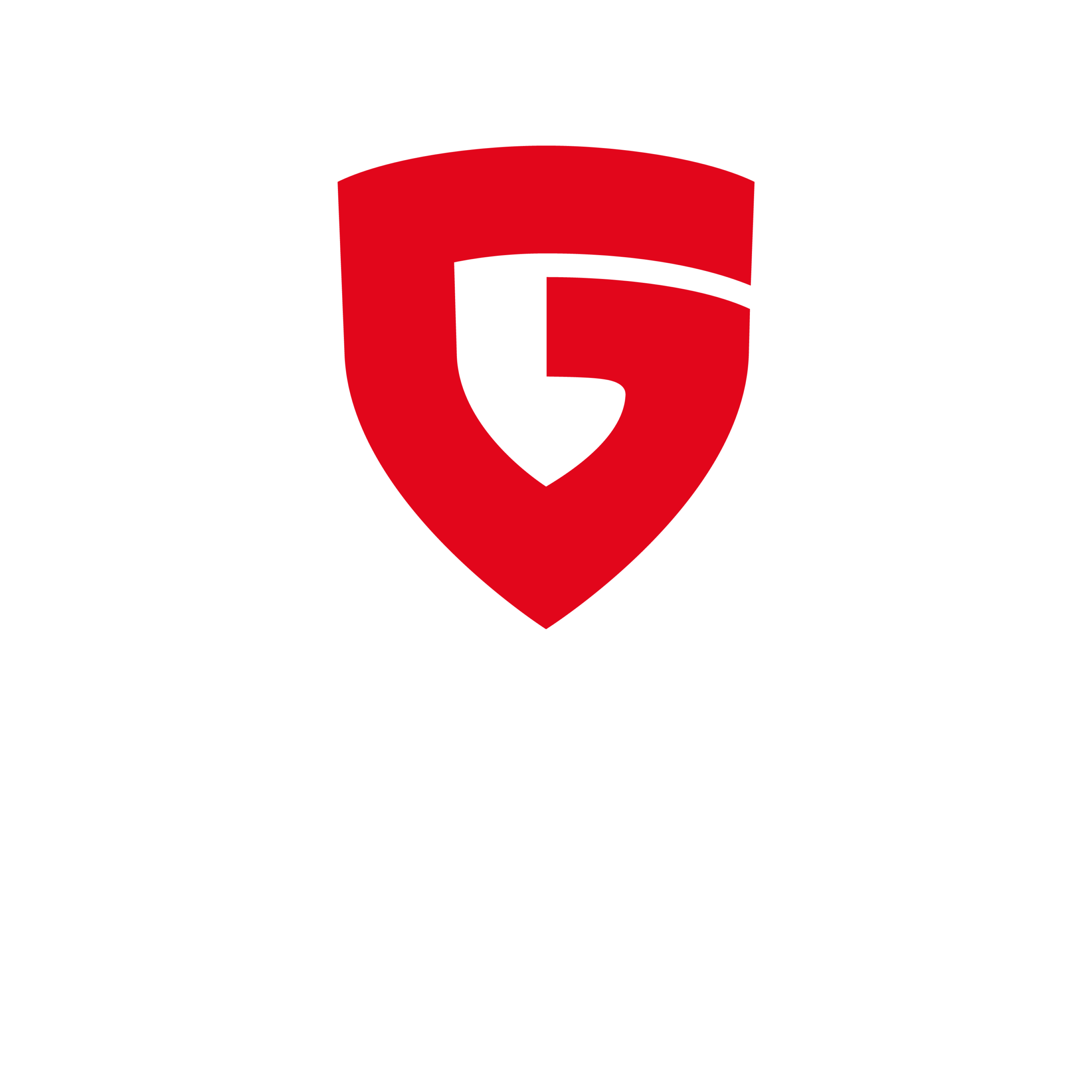 G DATA
